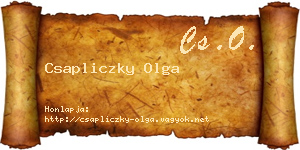 Csapliczky Olga névjegykártya